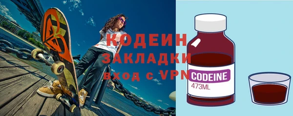 прущие грибы Гусиноозёрск