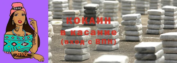 прущие грибы Гусиноозёрск