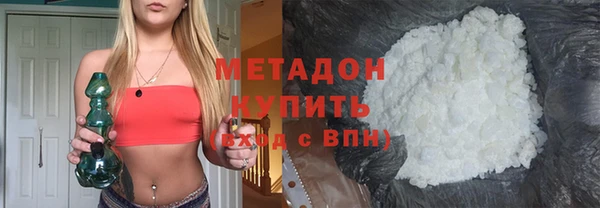 прущие грибы Гусиноозёрск