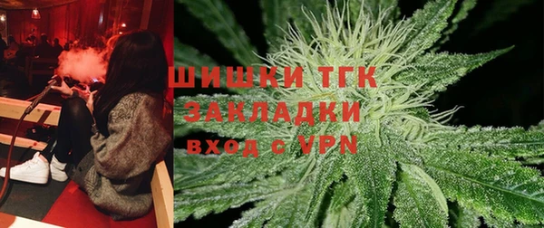 прущие грибы Гусиноозёрск