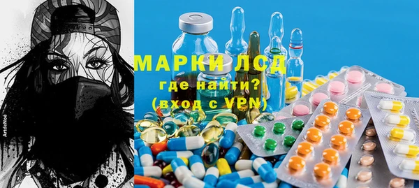 прущие грибы Гусиноозёрск
