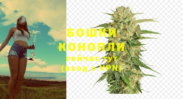 прущие грибы Гусиноозёрск