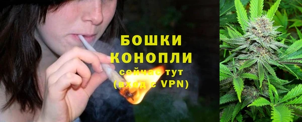 прущие грибы Гусиноозёрск